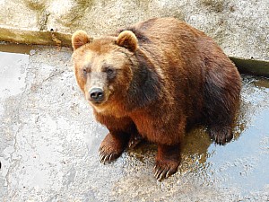 DSCN0417.JPG