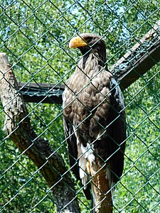 DSCN0419.JPG