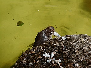 DSCN0432.JPG