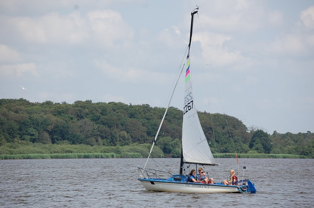 DSC_0827.jpg