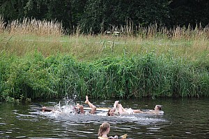 DSC_0587.jpg