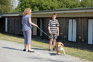 DSC_0747.jpg