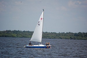 DSC_0919.jpg