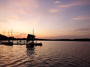IMG_20190725_212932.jpg