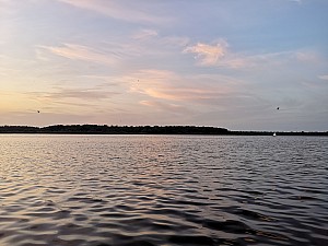 IMG_20190725_212937.jpg