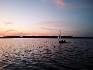 IMG_20190725_221509.jpg