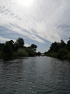 IMG_20190726_102949.jpg