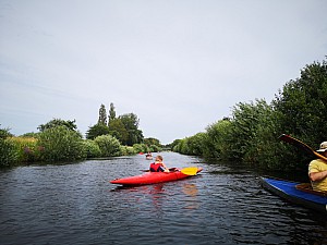 IMG_20190726_104148.jpg