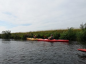 IMG_20190726_104201.jpg