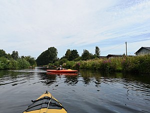 IMG_20190726_110027.jpg