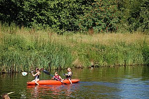 DSC_0162.jpg
