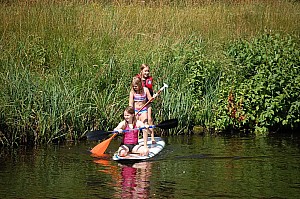 DSC_0190.jpg