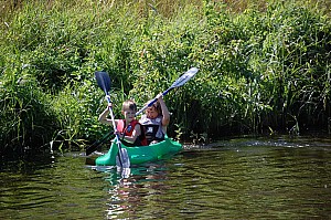 DSC_0254.jpg