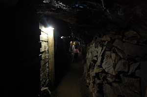 DSC_0031.jpg