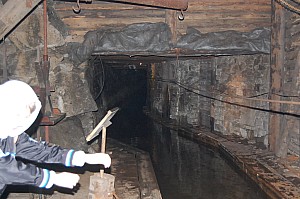 DSC_0037.jpg