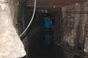 DSC_0041.jpg