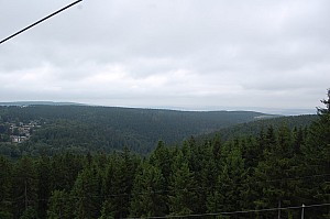 DSC_0045.jpg