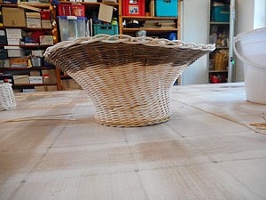 DSCN1445.jpg