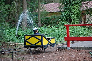 DSC_0079.jpg