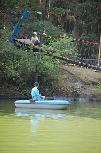 DSC_0164.jpg