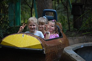 DSC_0178.jpg