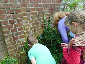 DSCN1279.jpg