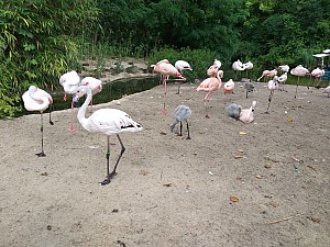 20190712_144914.jpg