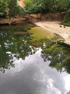 20190712_145224.jpg