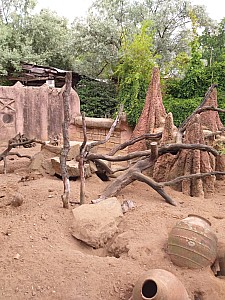 20190712_145517.jpg