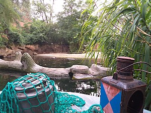 20190712_150216.jpg