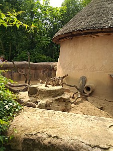 20190712_151209.jpg