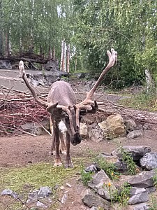 20190712_155908.jpg