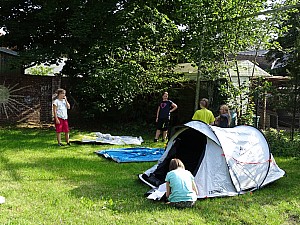 DSC00649.jpg