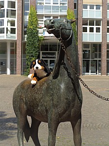 1   Pferdi   Konstanze.jpg