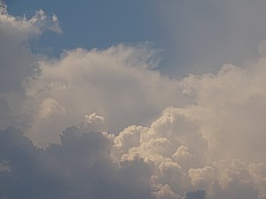 DSC00986.jpg