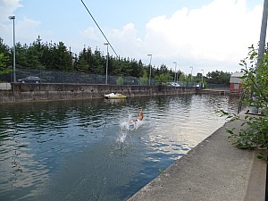 DSC01010.jpg