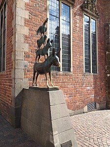 20200722_160459.jpg