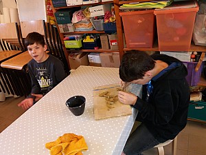 20200721_113420.jpg