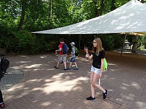 DSC00799.jpg