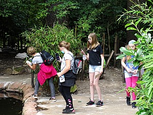 DSC00814.jpg