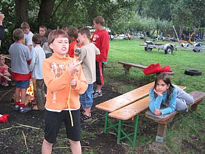 IMG_4331.jpg